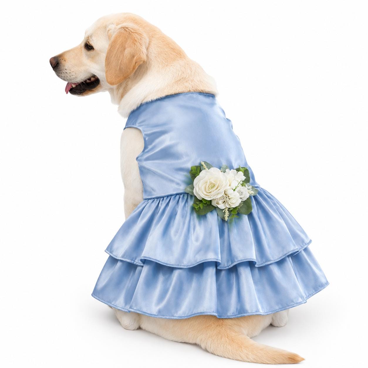 golden retriever puppy dress Golden Retriever Dog Dress