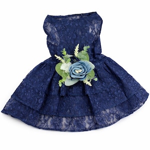 princess polly baby blue dress We love a navy bridesmaid duo 💙 main image 1