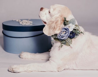 Shabby Gabby Wedding Dog Collar Succulent Dog Collar Shabby Gabby Wedding Dog Collar Succulent Dog Collar