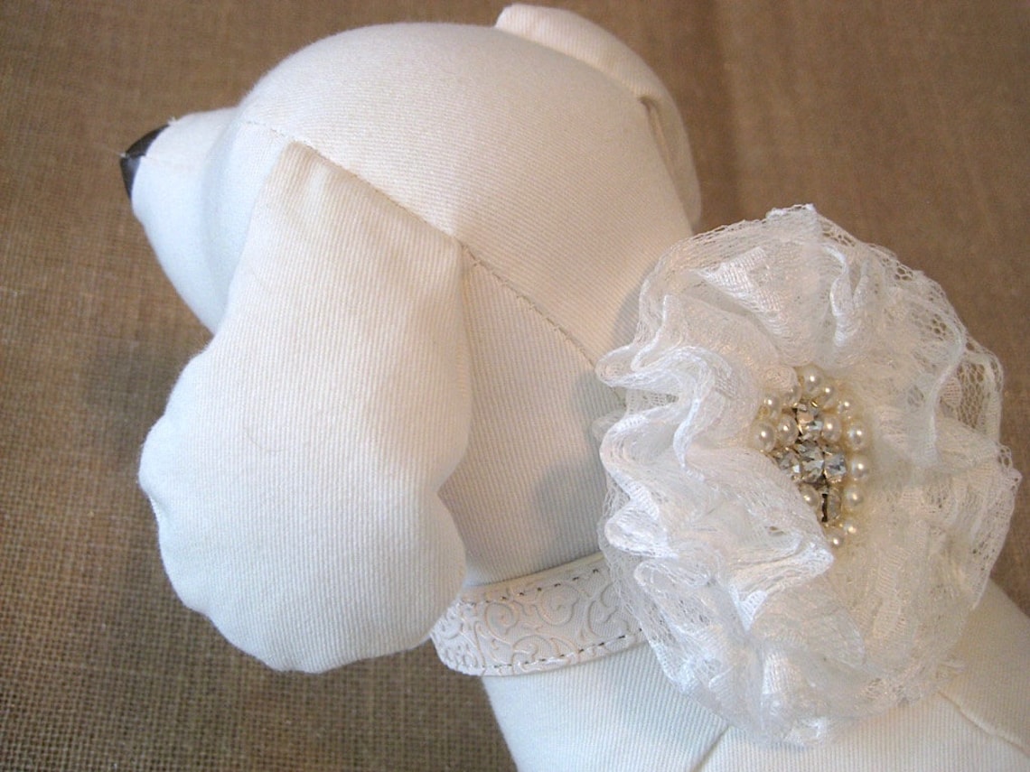 SMALL DOG - Ivory Wedding Dress main image 1