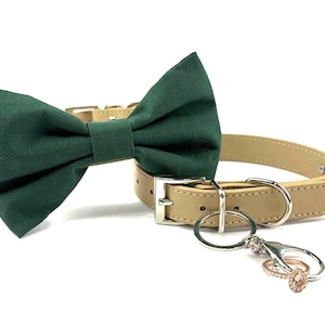 May include: A green bow tie attached to a tan leather dog collar with a silver key ring and a ring attached.
