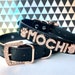 see more listings in the Personalized Collars section