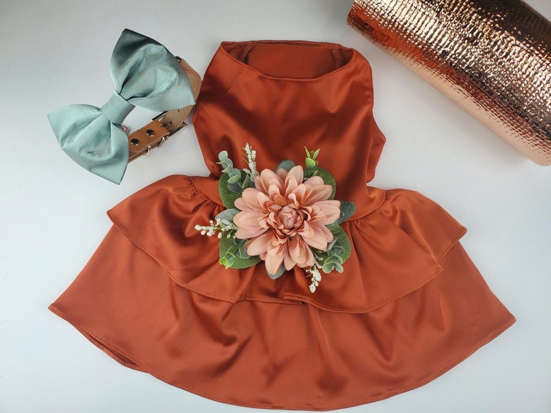 Wedding Dog Dress Dog Flower Girl Dress Terra Cotta Etsy
