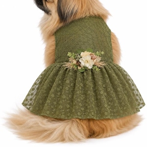 May include: An olive green lace dress for a pet, featuring a sleeveless bodice and a flared skirt with a delicate floral pattern. A cluster of artificial cream and white flowers with green leaves is attached to the waistline of the garment.