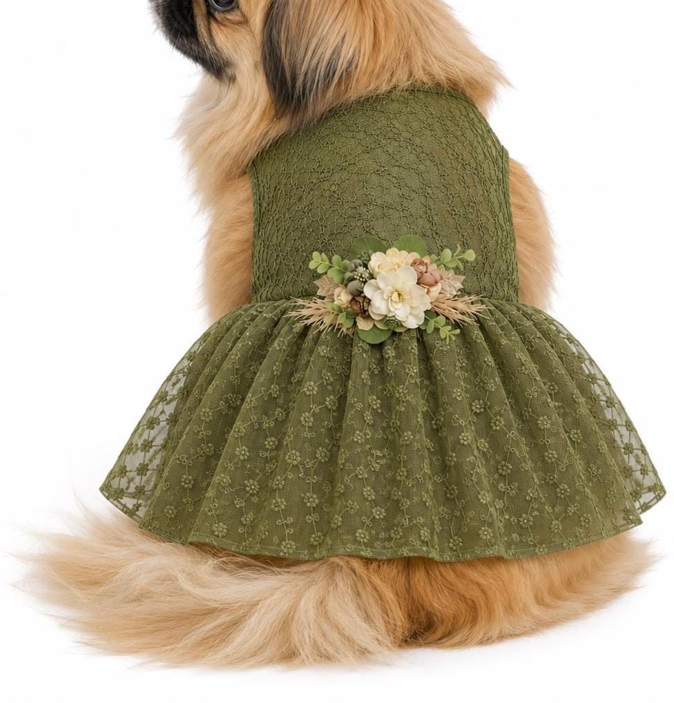 sage green dog dress Sage Green Dog Tuxedo: Custom Wedding Outfit, Formal Attire
