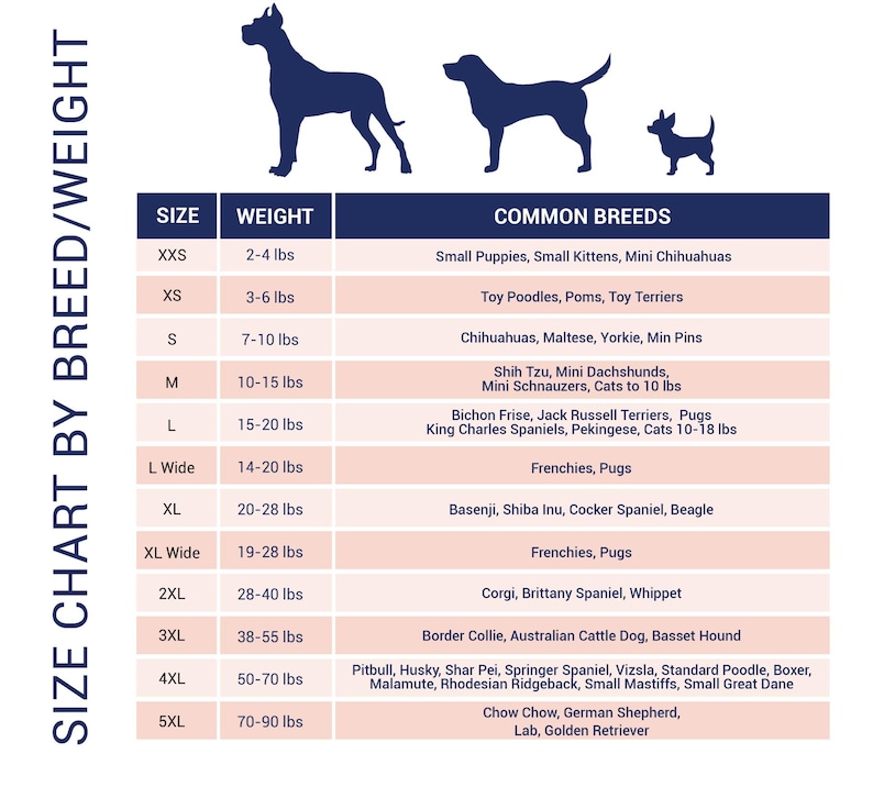 Dog Size Ranges Dog Birthday Party | Birthday Girl Dog Package | Cheetah Birthday ...