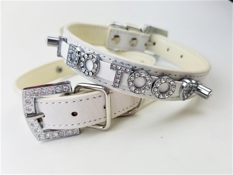 Wedding Dog collar I DO TOO collar and leash 18 Color Options Dog Wedding Flower Dog Collar Dog wedding attire image 3