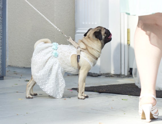 Wedding dog dress dog flower girl dress 