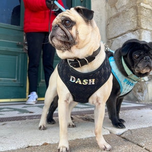 Black Diamond Sparkle dog harness | 2 Color Options | Personalized harness | XS-L | Fits pets 6-80 lbs | Personalized Gift