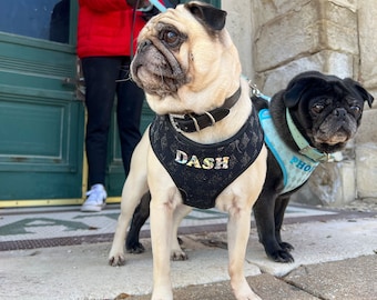 Black Diamond Sparkle dog harness | 2 Color Options | Personalized harness | XS-L | Fits pets 6-80 lbs | Personalized Gift