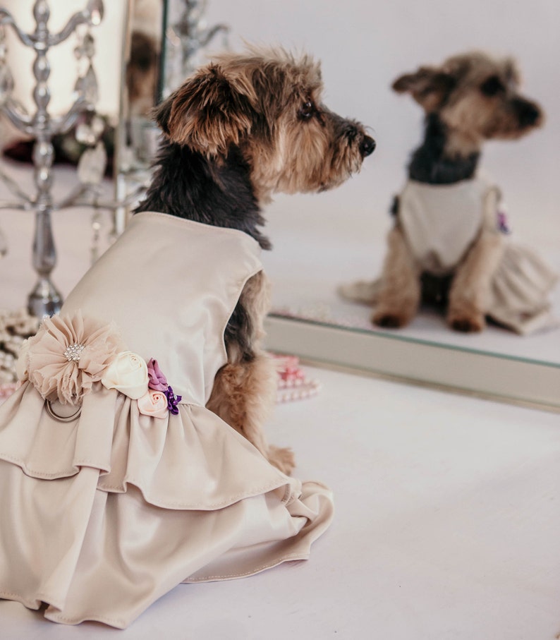 Wedding Dog Dress Plum and Beige Dog Dress Flower Girl Dog Dress Wedding or birthday party The Evelyn XXS-5XL image 3