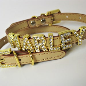 XS Dog Collar Puppy Collar Gifts for Pets Chihuahua - Etsy