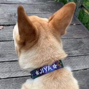 Celestial Dog Collar | Personalized Dog Collar | Dog name collar | Celestial cat collar | Cosmic Dog Collar | Star Galaxy Dog Tag image 6