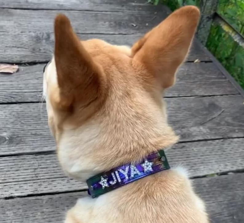 Celestial Dog Collar | Personalized Dog Collar | Dog name collar | Celestial cat collar | Cosmic Dog Collar | Star Galaxy Dog Tag image 6