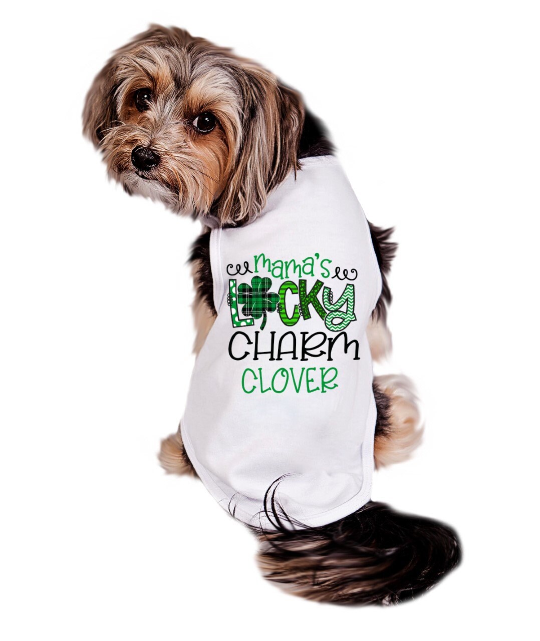 Dog st clearance patrick's day clothes