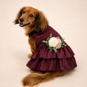 brown dog dress cute dog clothes girl