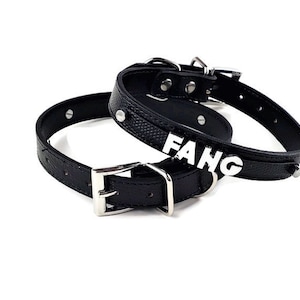 Schwarzes personalisiertes Hundehalsband | Geschenke für Haustiere | XXS XS S M L XL | Hundehalsband personalisiert | Schwarzes Hundehalsband