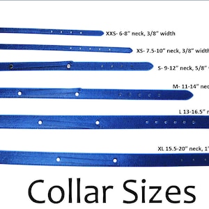 May include: A set of six blue leather dog collars with silver buckles and different sizes. The collars are laid out in order from smallest to largest, with the size and neck measurements listed next to each collar. The sizes are XXS, XS, S, M, L, and XL.  Collar Sizes.