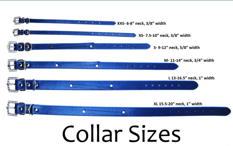 May include: A set of six blue leather dog collars with silver buckles and different sizes. The collars are laid out in order from smallest to largest, with the size and neck measurements listed next to each collar. The sizes are XXS, XS, S, M, L, and XL.  Collar Sizes.