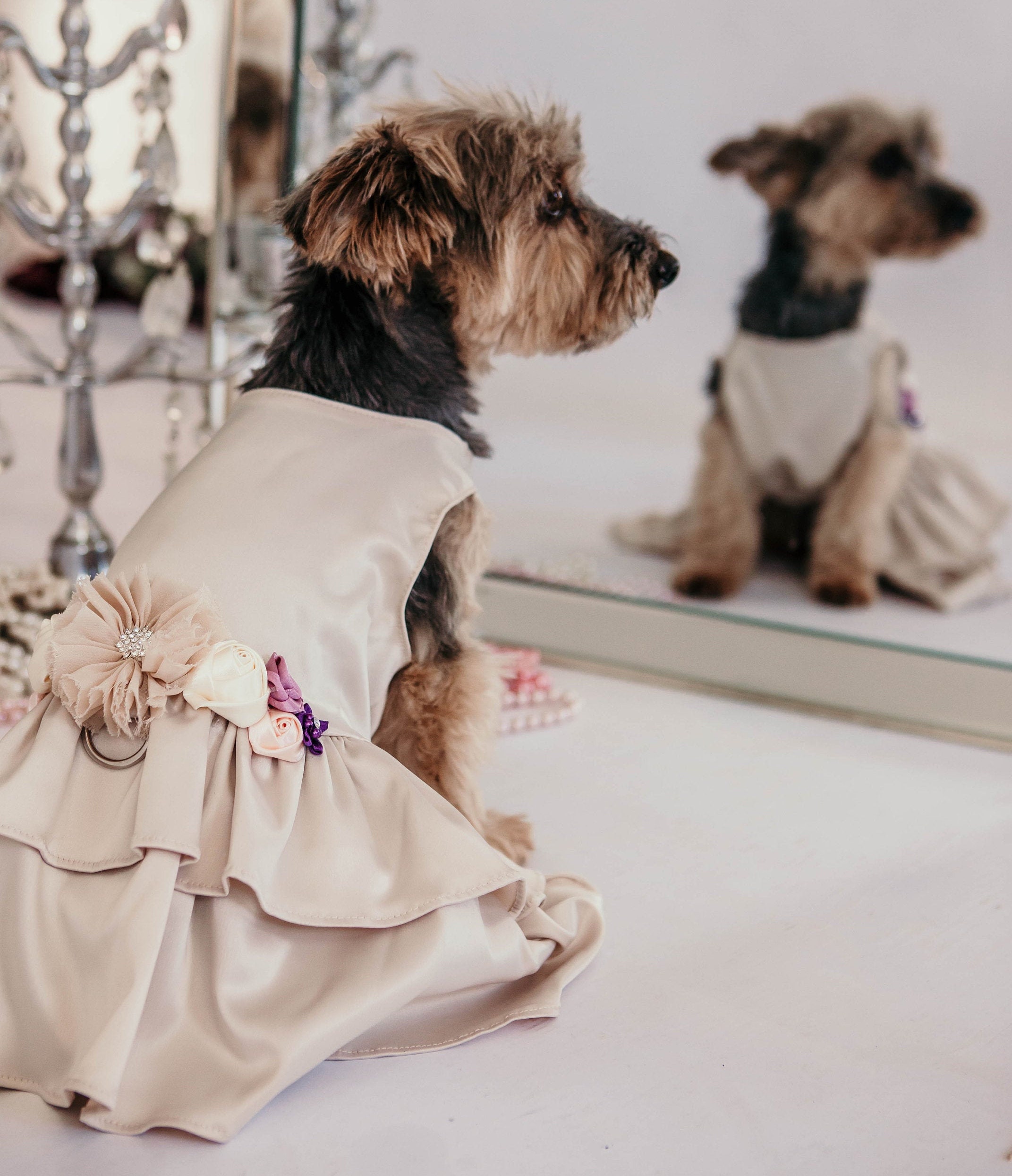 Wedding Dog Dress Plum and Beige Dog Dress Flower Girl Dog 