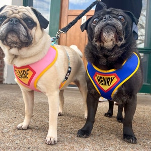 Superhero dog harness | Personalized harness | Halloween costume for dogs | Optional matching leash and poo bag | XS-L | Fits pets 6-60 lbs
