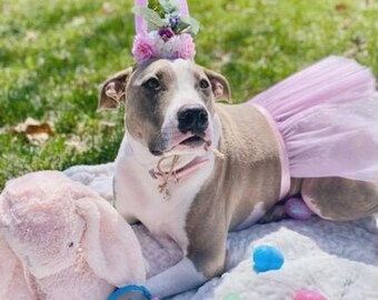 amazon uk fish tank filters