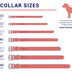 Celestial Dog Collar | Personalized Dog Collar | Dog name collar | Celestial cat collar | Cosmic Dog Collar | Star Galaxy Dog Tag image 9