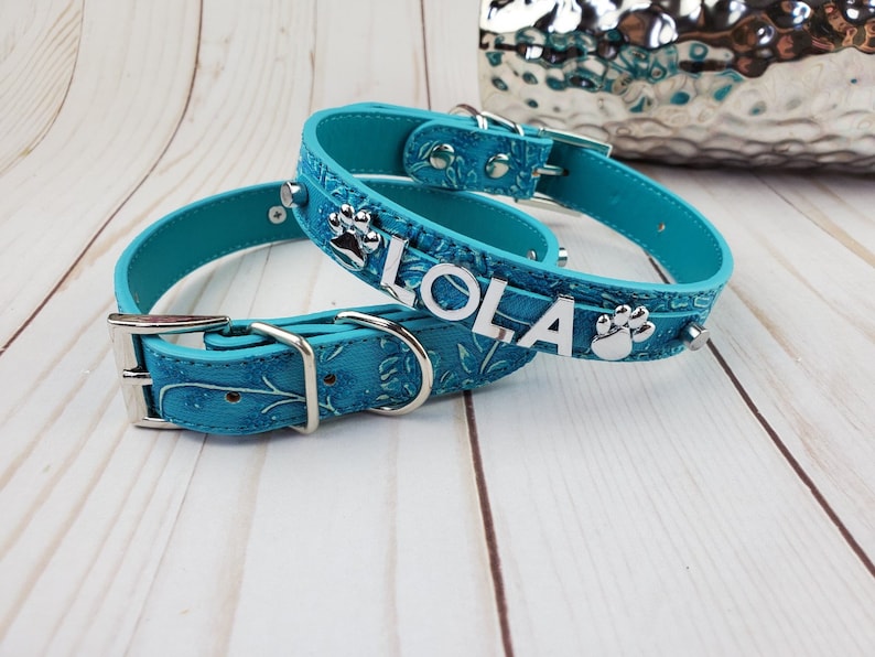 xxs dog collar
