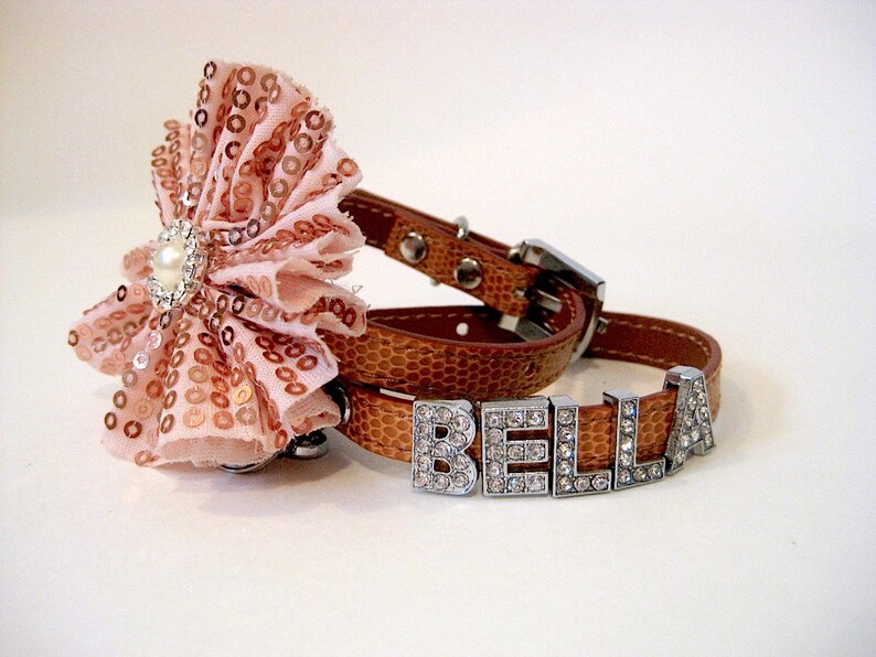 Xxs Dog Collar
 XXS Dog Collar Personalized Dog Collar with flower slider