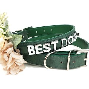 Wedding Dog collar | I DO TOO collar and leash | 25 Color Options | Dog Wedding | Flower Dog Collar | Dog wedding attire