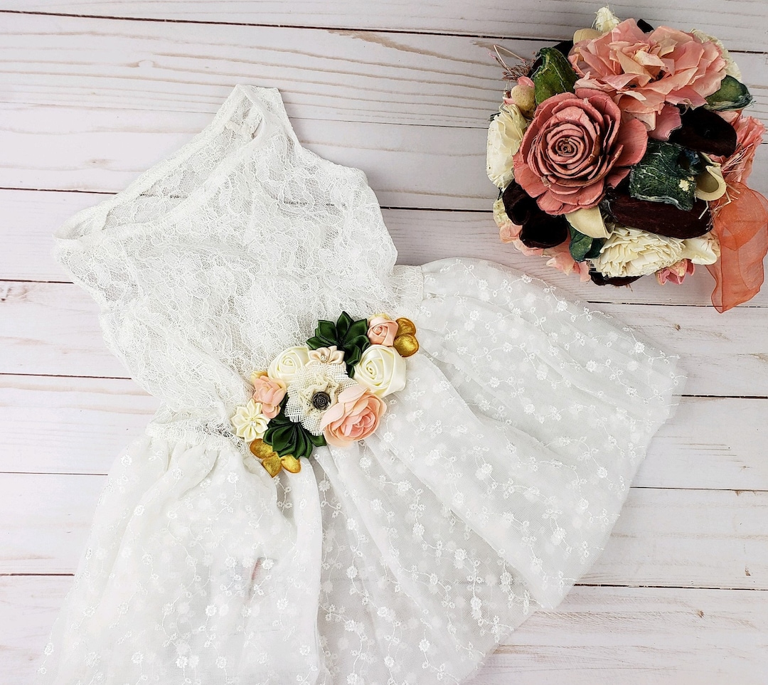 Dog Dress, Special Occasion Dog Dress, Fancy Dog Dress