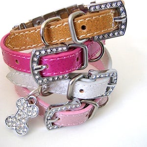 XXS Dog Collar Personalized Collar the Sparkles Extra Small Dog Collar