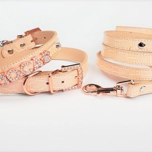 May include: A light pink leather dog collar and leash set with rose gold hardware. The collar has the name "MOCHA" spelled out in rhinestones.