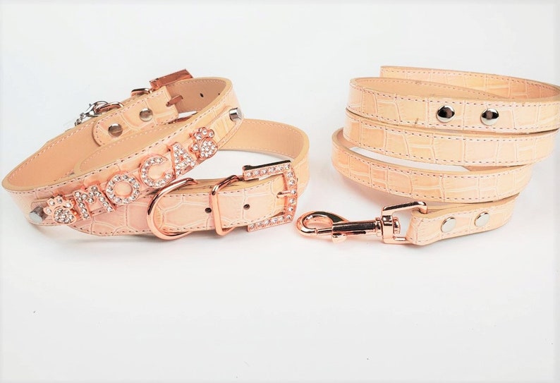 May include: A light pink leather dog collar and leash set with rose gold hardware. The collar has the name "MOCHA" spelled out in rhinestones.
