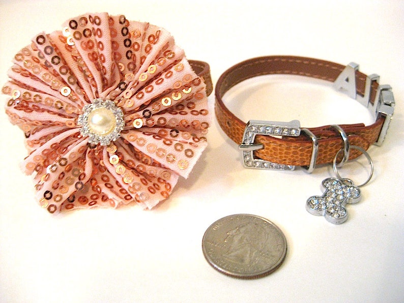 XXS Dog Collar Personalized Dog Collar with flower slider Etsy