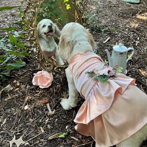 Wedding dog dress | Birthday dog Dress | The Eleanor  | Mauve, Blush, and ivory wedding dog dress | dog clothes XS-5XL | pink dog dress