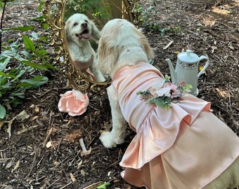 Laxury Dog Dress Blessing Babies【Bliss】 il_340x270.5053372190_kj3c.jpg