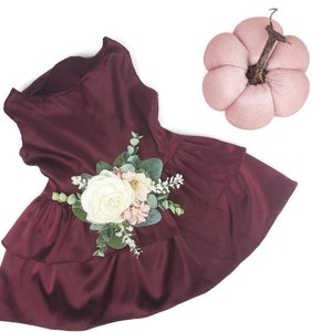 brown dog dress Isabella Chiffon Dress main image 1