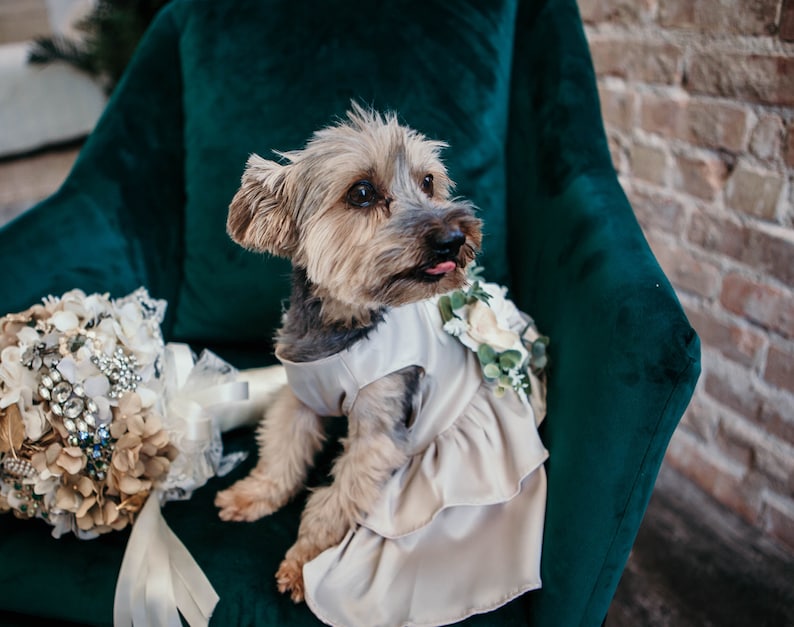 Wedding Dog Attire Dog Flower Girl Dress Succulent Wedding Etsy