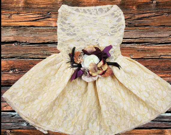 Plum and hotsell gold dress