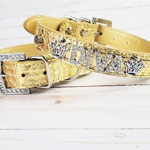 Personalized Dog Collar | Dog name collar | Iced Out Gold Croc | Bling Dog Collar | XS-XL