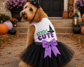 Halloween Witch costume for dog |  Fits for 3-95 lbs | XXS-5XL |  Halloween dog costume | Dog Witch Costume
