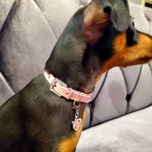 Quilted Shimmer Pink Dog Collar | Gifts for pets | XXS XS S M L XL | Personalized Dog Collar | Name Dog Collar | Pink Puppy Collar image 3