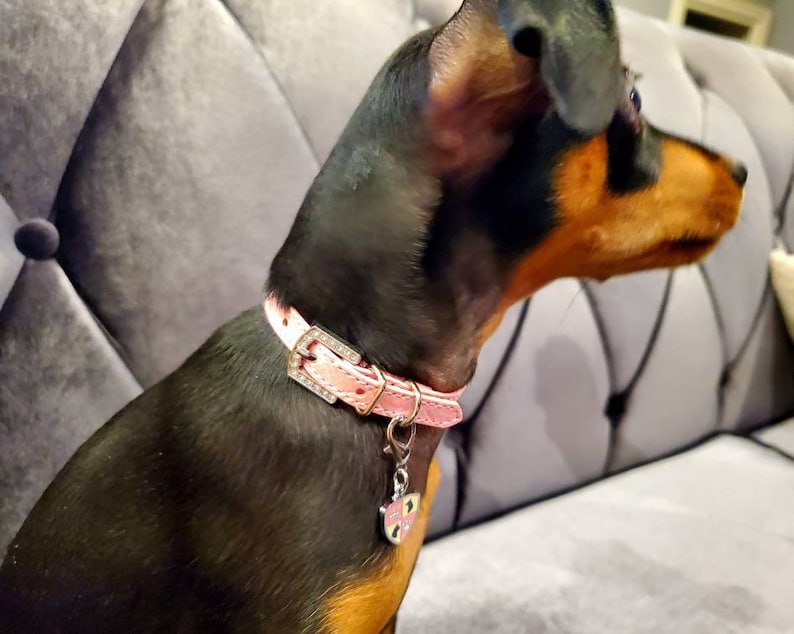 Quilted Shimmer Pink Dog Collar | Gifts for pets | XXS XS S M L XL | Personalized Dog Collar | Name Dog Collar | Pink Puppy Collar image 3