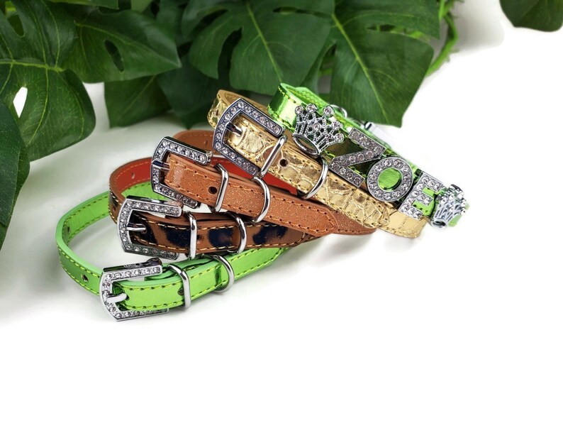 XS Thin Cat Collar or XS Dog Collar Queen of the Jungle Etsy