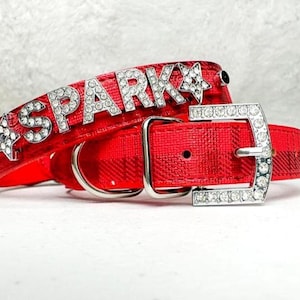 May include: Red dog collar with a silver buckle and a silver charm that says "SPARK" with rhinestones.