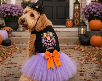 Halloween costume for dog | Pastel Coquette Pumpkin | XXS-5XL |  Halloween dog costume
