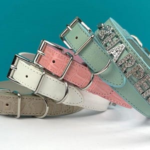 Personalized Pet Collar | Gifts for pets | 4 Color Options | Pastel Collection | XXS-XXL | Personalized Cat Collar