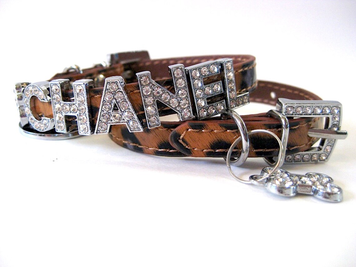 XS Thin Cat Collar or XS Dog Collar Queen of the Jungle Etsy