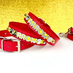 May include: Red leather dog collar with a yellow stripe and the name "ARROW" in silver letters with rhinestones. The collar is paired with a matching red leather leash.